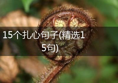 15个扎心句子(精选15句)