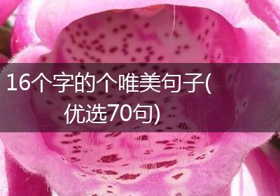 16个字的个唯美句子(优选70句)