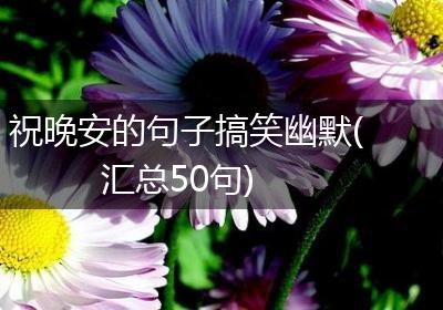 祝晚安的句子搞笑幽默(汇总50句)