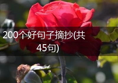 200个好句子摘抄(共45句)