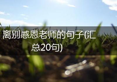 离别感恩老师的句子(汇总20句)