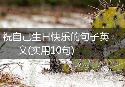 祝自己生日快乐的句子英文(实用10句)