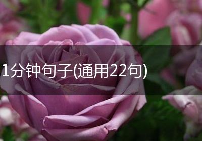 1分钟句子(通用22句)