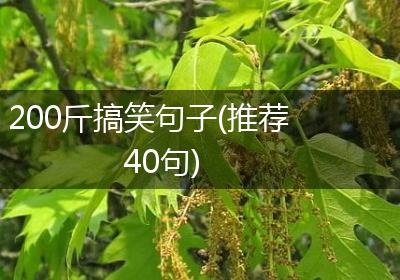 200斤搞笑句子(推荐40句)