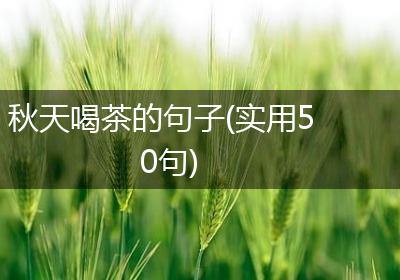 秋天喝茶的句子(实用50句)