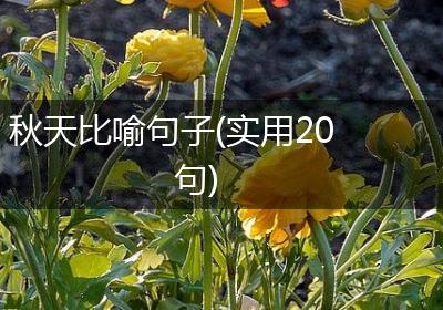 秋天比喻句子(实用20句)