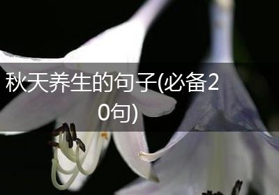 秋天养生的句子(必备20句)