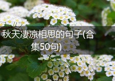秋天凄凉相思的句子(合集50句)