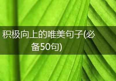 积极向上的唯美句子(必备50句)