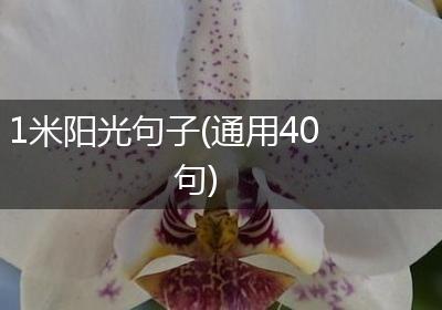 1米阳光句子(通用40句)