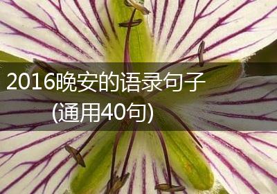 2016晚安的语录句子(通用40句)