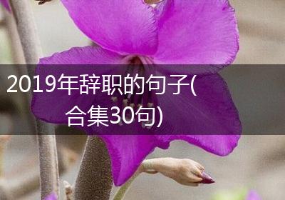 2019年辞职的句子(合集30句)