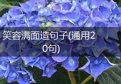 笑容满面造句子(通用20句)