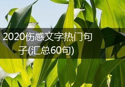 2020伤感文字热门句子(汇总60句)