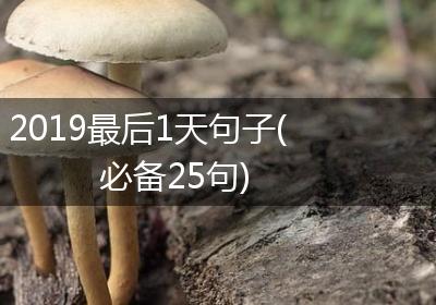 2019最后1天句子(必备25句)