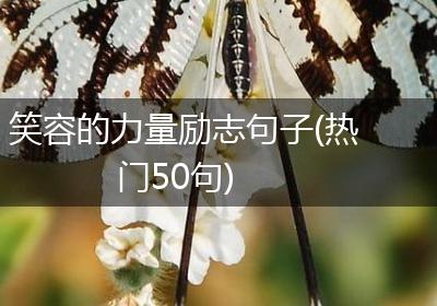 笑容的力量励志句子(热门50句)