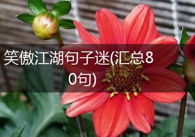 笑傲江湖句子迷(汇总80句)