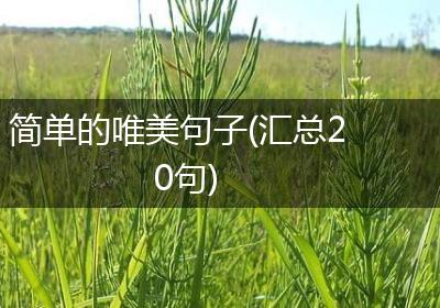 简单的唯美句子(汇总20句)