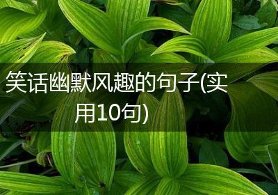 笑话幽默风趣的句子(实用10句)