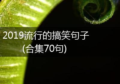 2019流行的搞笑句子(合集70句)