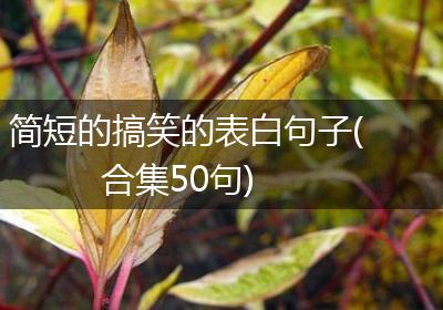 简短的搞笑的表白句子(合集50句)