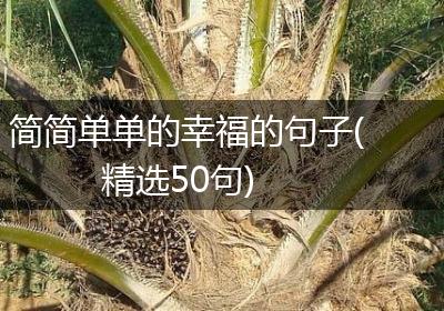 简简单单的幸福的句子(精选50句)