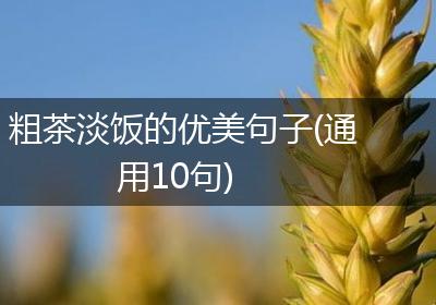 粗茶淡饭的优美句子(通用10句)