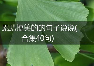 累趴搞笑的的句子说说(合集40句)