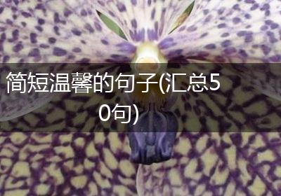 简短温馨的句子(汇总50句)
