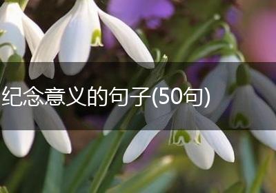 纪念意义的句子(50句)