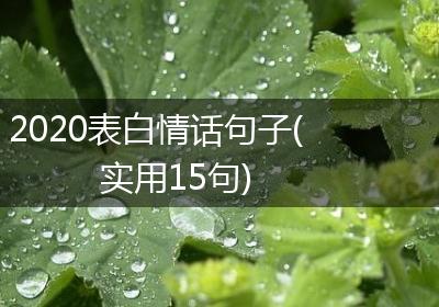 2020表白情话句子(实用15句)