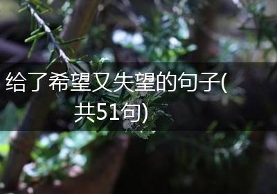 给了希望又失望的句子(共51句)