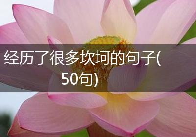 经历了很多坎坷的句子(50句)