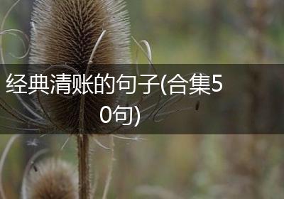 经典清账的句子(合集50句)