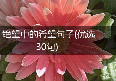 绝望中的希望句子(优选30句)