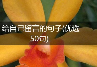 给自己留言的句子(优选50句)