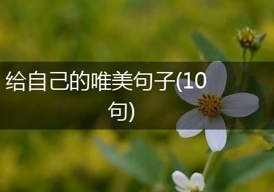 给自己的唯美句子(10句)