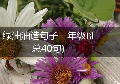 绿油油造句子一年级(汇总40句)