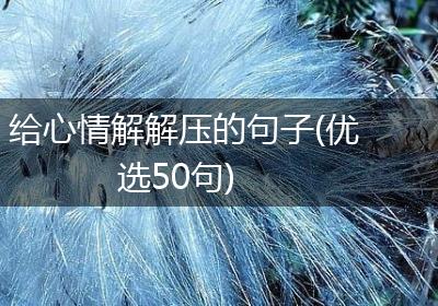 给心情解解压的句子(优选50句)