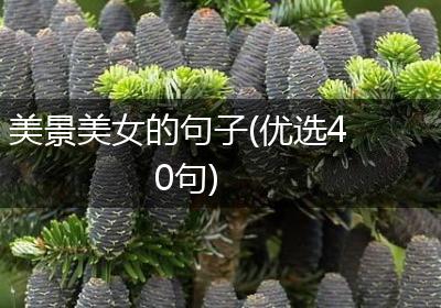 美景美女的句子(优选40句)