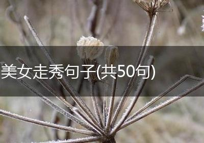 美女走秀句子(共50句)