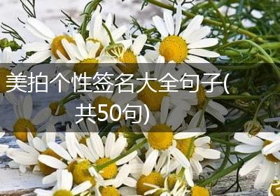 美拍个性签名大全句子(共50句)