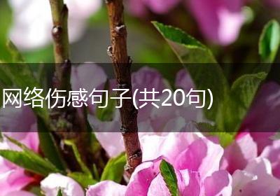 网络伤感句子(共20句)