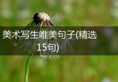 美术写生唯美句子(精选15句)