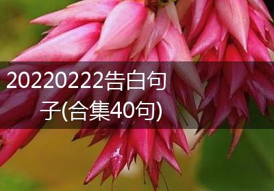20220222告白句子(合集40句)
