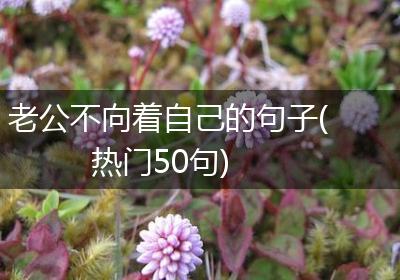 老公不向着自己的句子(热门50句)
