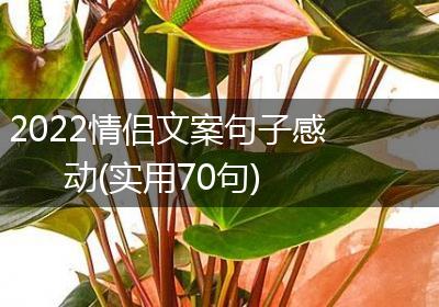 2022情侣文案句子感动(实用70句)