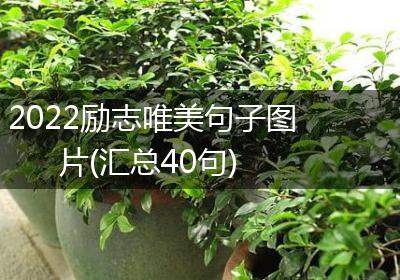 2022励志唯美句子图片(汇总40句)