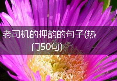 老司机的押韵的句子(热门50句)