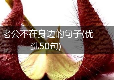 老公不在身边的句子(优选50句)